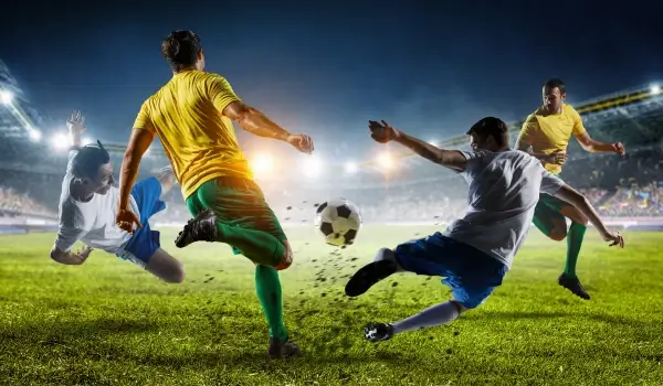 nghề cá cược bóng đá