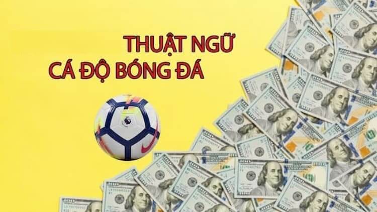 Thuật ngữ kèo châu Á