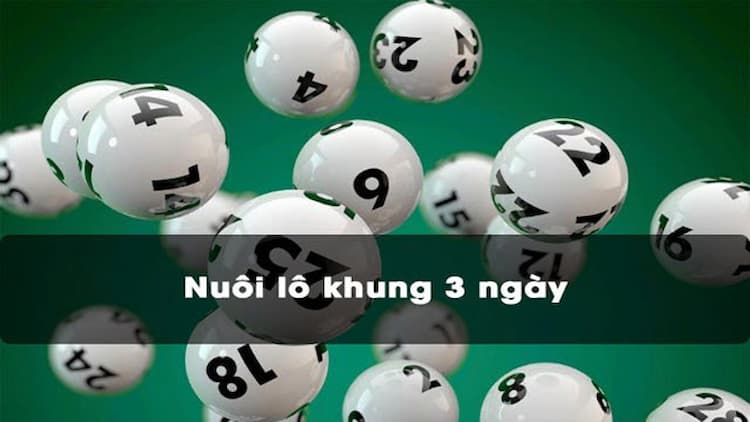 Lô khung 3 ngày